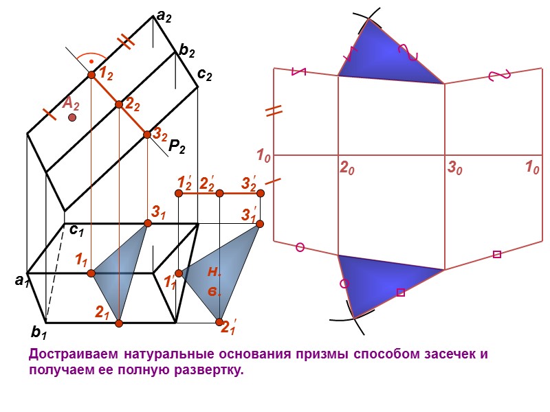 c1 b1 a1 P2 12 22 32 11 31 21 А2 Достраиваем натуральные основания